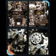 assembly skeleton skull cranium 3d diy metal model kits 200+pcs assembly skeleton skull cranium 3d diy metal model kits 200+pcs
