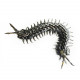 movable centipede 3d diy metal assembly model building kits movable centipede 3d diy metal assembly model building kits