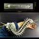 movable centipede 3d diy metal assembly model building kits movable centipede 3d diy metal assembly model building kits