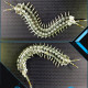 movable centipede 3d diy metal assembly model building kits movable centipede 3d diy metal assembly model building kits