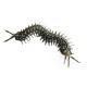 movable centipede 3d diy metal assembly model building kits movable centipede 3d diy metal assembly model building kits