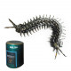 movable centipede 3d diy metal assembly model building kits movable centipede 3d diy metal assembly model building kits