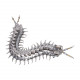 movable centipede 3d diy metal assembly model building kits movable centipede 3d diy metal assembly model building kits
