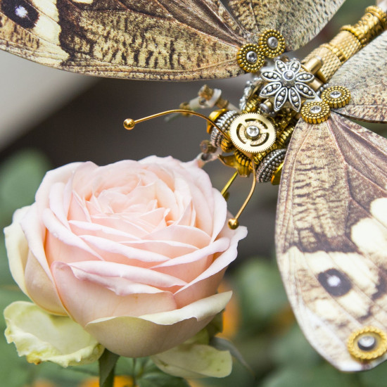 steampunk 3d butterfly model metal puzzle diy assembly kit for kids, teens and adults (150pcs+) steampunk 3d butterfly model metal puzzle diy assembly kit for kids, teens and adults (150pcs+)
