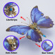 steampunk 3d butterfly model metal puzzle diy assembly kit for kids, teens and adults (150pcs+) steampunk 3d butterfly model metal puzzle diy assembly kit for kids, teens and adults (150pcs+)