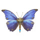 steampunk 3d butterfly model metal puzzle diy assembly kit for kids, teens and adults (150pcs+) steampunk 3d butterfly model metal puzzle diy assembly kit for kids, teens and adults (150pcs+)